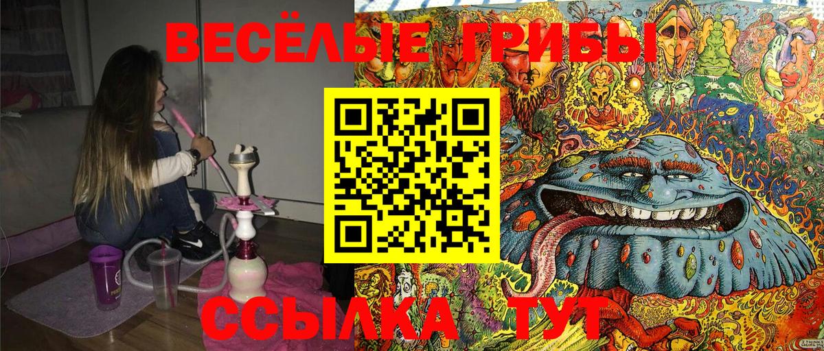 Галлюциногенные грибы Psilocybe  Галлюциногенные грибы мицелий  Вход с VPN  Всеволожск 