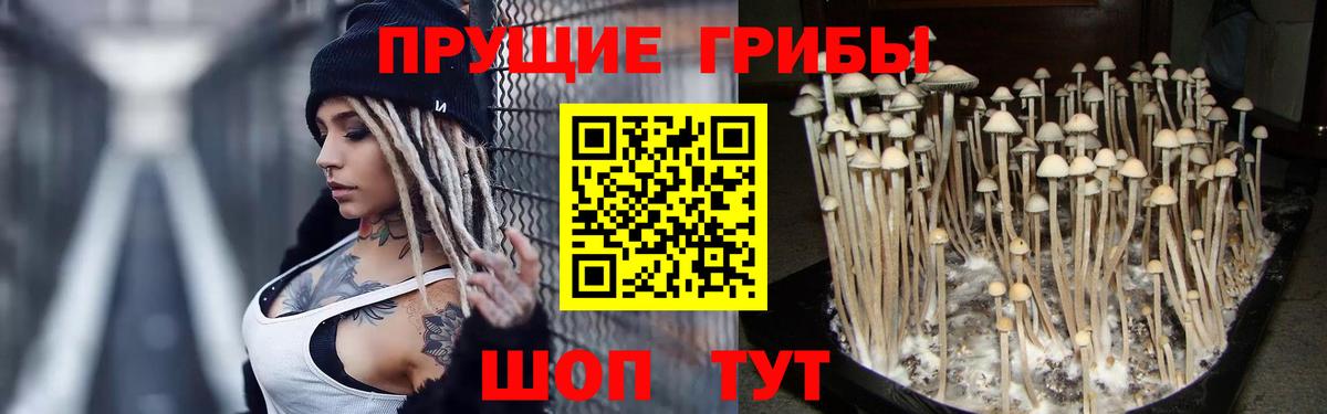 Галлюциногенные грибы MAGIC MUSHROOMS Всеволожск