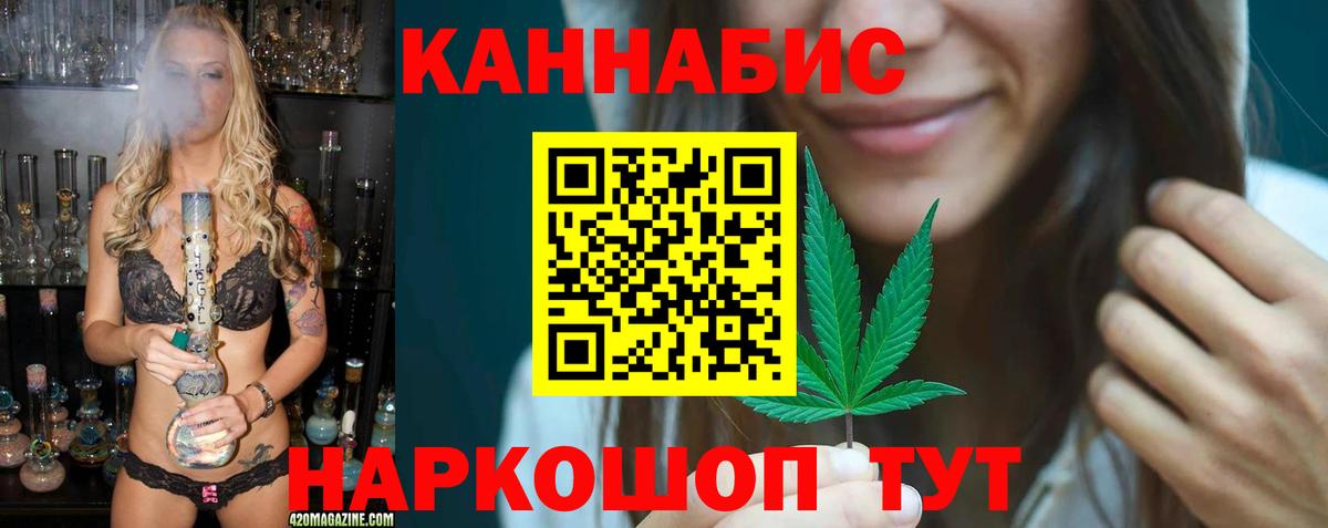 Каннабис план  Конопля OG Kush  Вход с VPN  Всеволожск 